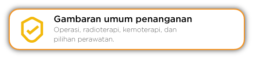 Gambaran Umum